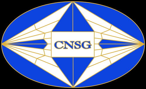 上海偉圣投資管理 專業(yè)投資咨詢引領(lǐng)財富增長新航道